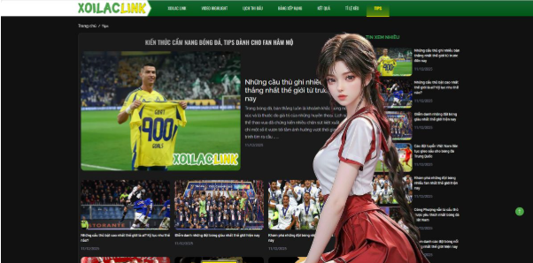 Extensive Coverage From Domestic Leagues to International Competitions